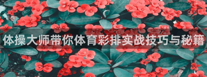 体操大师带你体育彩排实战技巧与秘籍