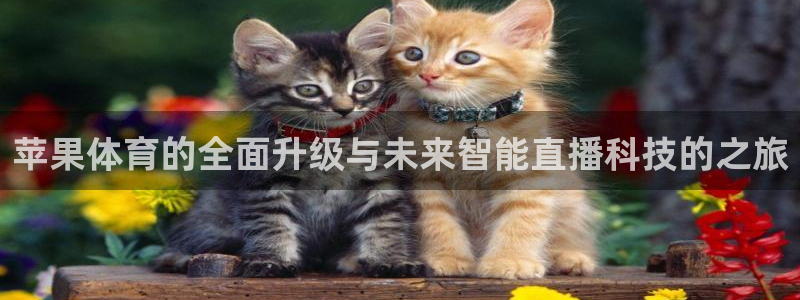 苹果体育的全面升级与未来智能直播科技的之旅