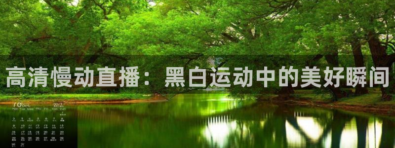 高清慢动直播：黑白运动中的美好瞬间
