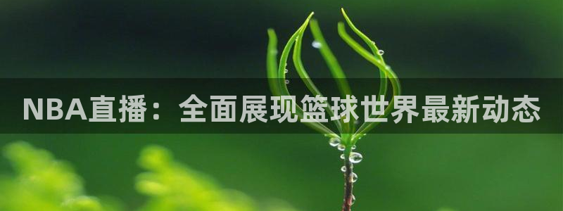 NBA直播：全面展现篮球世界最新动态