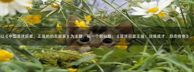 以《中国篮球巨星，王强的励志故事》为主题，拟一个新标题：《篮球巨星王强：逆境成才，励志传奇》。