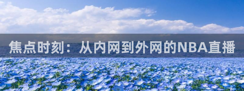焦点时刻：从内网到外网的NBA直播