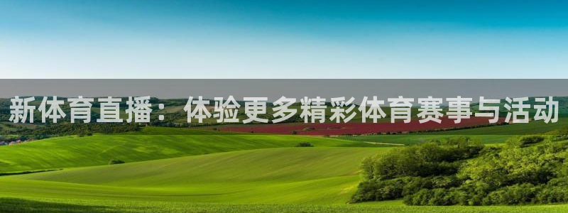新体育直播：体验更多精彩体育赛事与活动