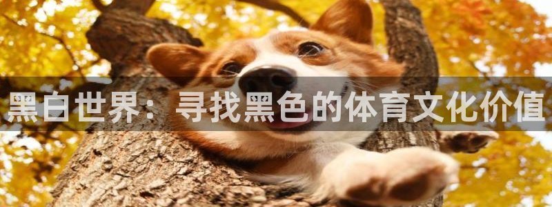 黑白世界：寻找黑色的体育文化价值