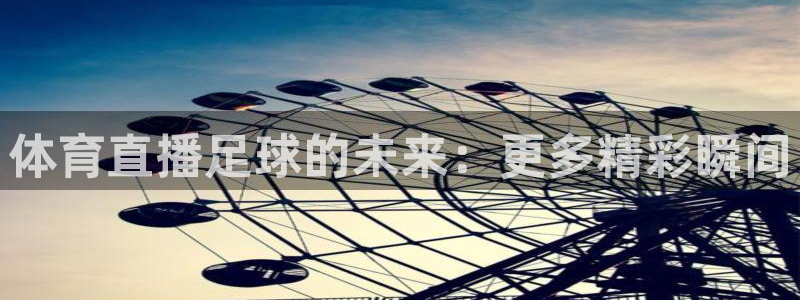 体育直播足球的未来：更多精彩瞬间