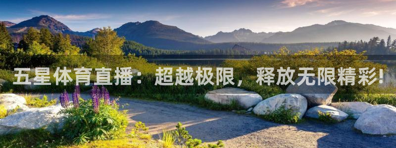 五星体育直播：超越极限，释放无限精彩!