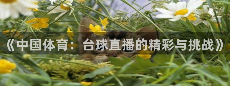 《中国体育：台球直播的精彩与挑战》