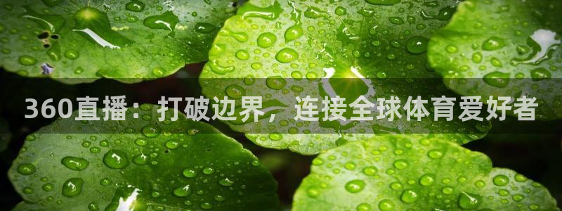 360直播：打破边界，连接全球体育爱好者